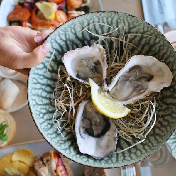 Zeeuwse oesters